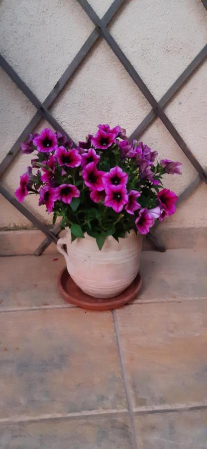 Entula 'E Mari Bed&Brakfast Bed & Breakfast Tortoli Bagian luar foto